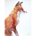 thumbnail image 2 of Valle, Aimee Del 19x24 White Modern Wood Framed Museum Art Print Titled - Sly as a Fox, 2 of 4