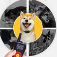 thumbnail image 3 of Collar de adiestramiento para perros, recargable, para perros pequeños, medianos y grandes, 3+1 modos de entrenamiento, control remoto de 800 m, collares de adiestramiento para perros, 3 of 5