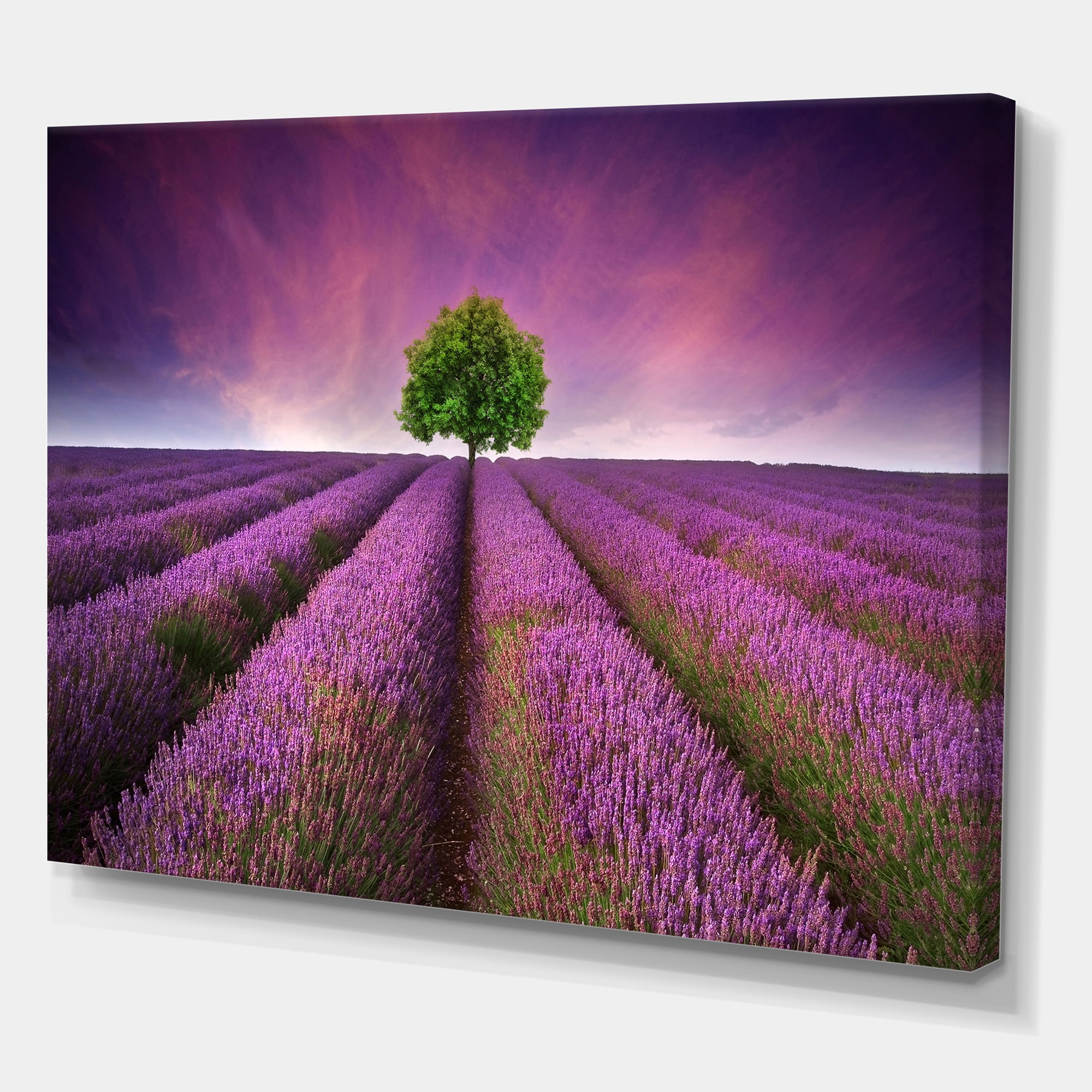 Designart ' Tree With Stunning Lavender Field Summer Sunset ' Farmhouse Canvas Wall Art Print