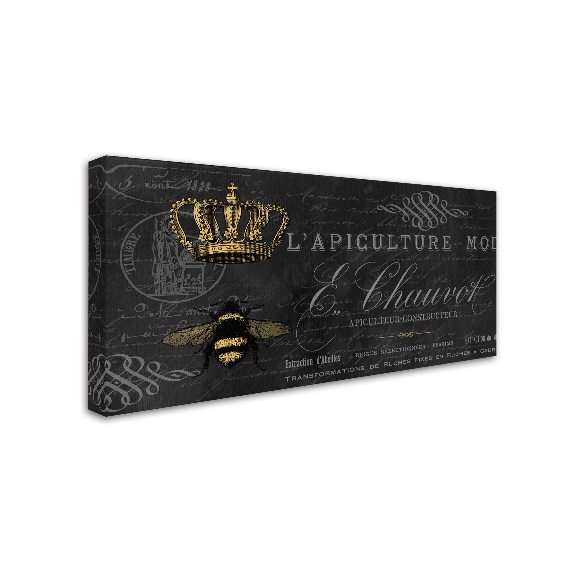 Jean Plout 'Queen Bee 13' Canvas Art