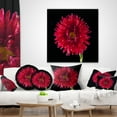 thumbnail image 4 of Designart Chrysanthemum Flower on Black - Flowers Throw Pillowwork - 12x20, 4 of 5