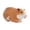 Guinea Pig, variant on yotijay Animal Figurine Model Collection Home Decor Realistic Detailed Action Figure Chipmunk