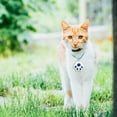 thumbnail image 6 of Leodye 4PCS Pet/Luggage Lost Locator Tracker Portable Accurate Daily Use Finder Device -1.65*1.57IN, 6 of 9