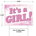 thumbnail image 2 of Beistle Plastic It's A Girl Yard Metal Stakes-Baby Shower Gender Reveal Party Decorations-Birth Announcement Outdoor Lawn Sign, 11.5" x 15.5", Pink/White, 2 of 4