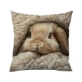 thumbnail image 2 of Cotton Pillow Cover, Decorative Pillow Case With Hidden Zipper, for Home Decor, Brown, 2 of 6
