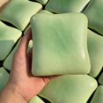 thumbnail image 5 of Toast Squishy Fidget Stress Reliever, Slow-Rising Matcha Green Marble Bread Squeeze for Desk Tactile Play, Plastic, 5 of 8