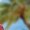 E-562 Red, variant on Toddler Kids Boys Girl Fashion Hawaiian Style Shirt Print Short Sleeves Casual Uniform Shirt With Pocket