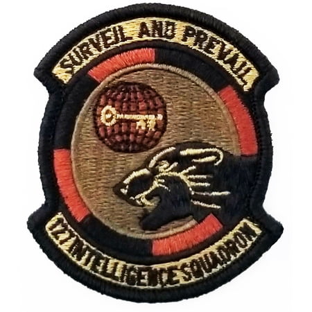 US Air Force 127th Intelligence Squadron Subdued Hook Back Patch
