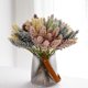 thumbnail image 4 of Matsuzay 1/6/10 Uds. Espigas de grano pequeñas frescas con simulación de hierba ramo de flores flores secas decoración pastoral natural para el hogar Flores artificiales beige Matsuzay HA6566-03B, 4 of 6