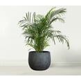 thumbnail image 3 of Barcelona Ceramic Plant Pot Large 10 inch - Black Flower Pots - Indoor & Outdoor Planters, 3 of 5