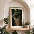 thumbnail image 5 of Forest Pathway - Washington Photography Forest Nature Woodland Scenic Wilderness Rustic Unframed Wall Art Print 32 x 48 inches, 5 of 60