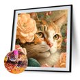 thumbnail image 2 of Pintura de diamante 5D, bricolaje, taladro redondo completo, kit de gato, decoración del hogar, artesanía (2) Hugtrwg Para estrenar, 2 of 9