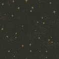 thumbnail image 4 of RoomMates Fond d'Écran On A Star Peel and Stick, Noir, 4 of 7