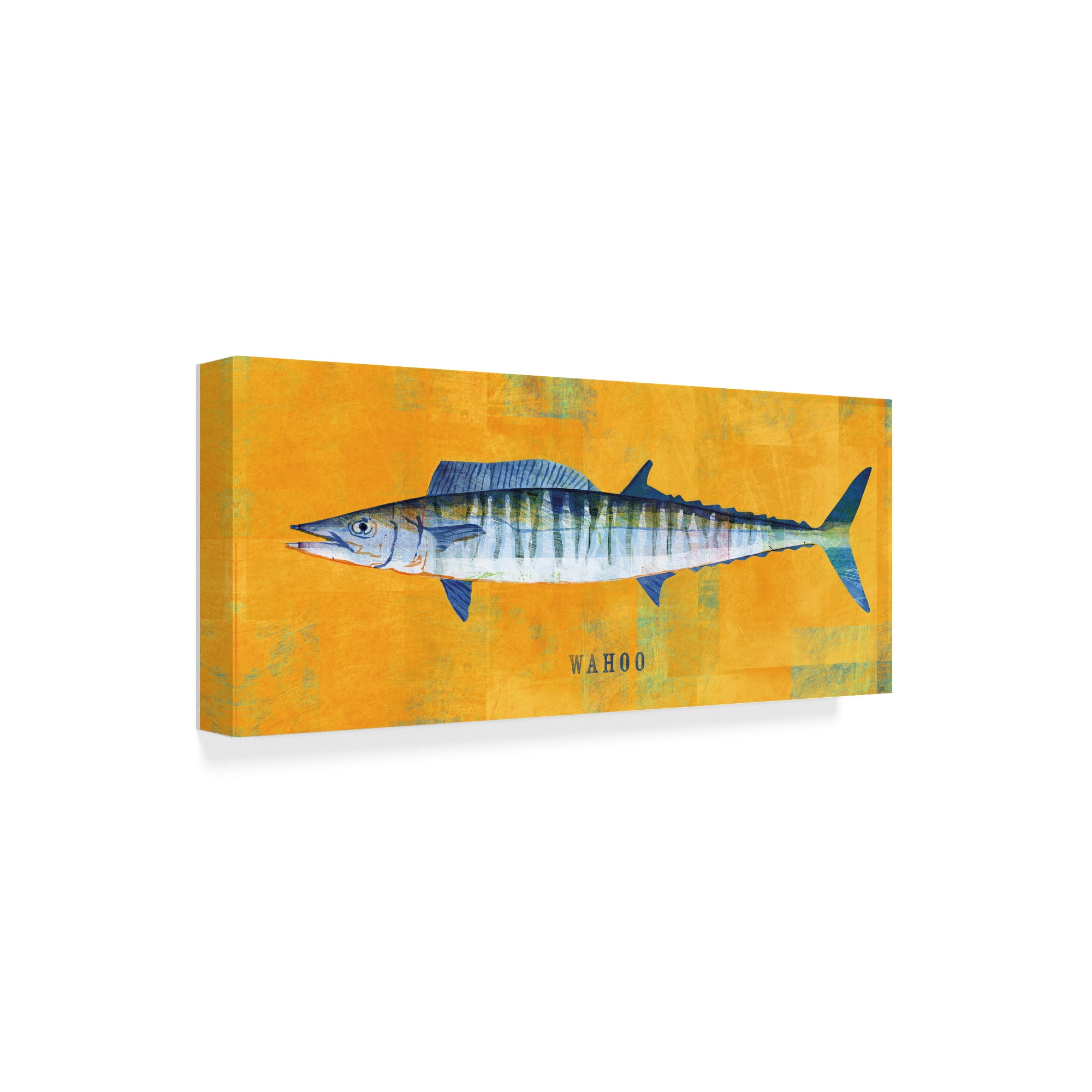 Trademark Fine Art 'Wahoo' Canvas Art by John W. Golden