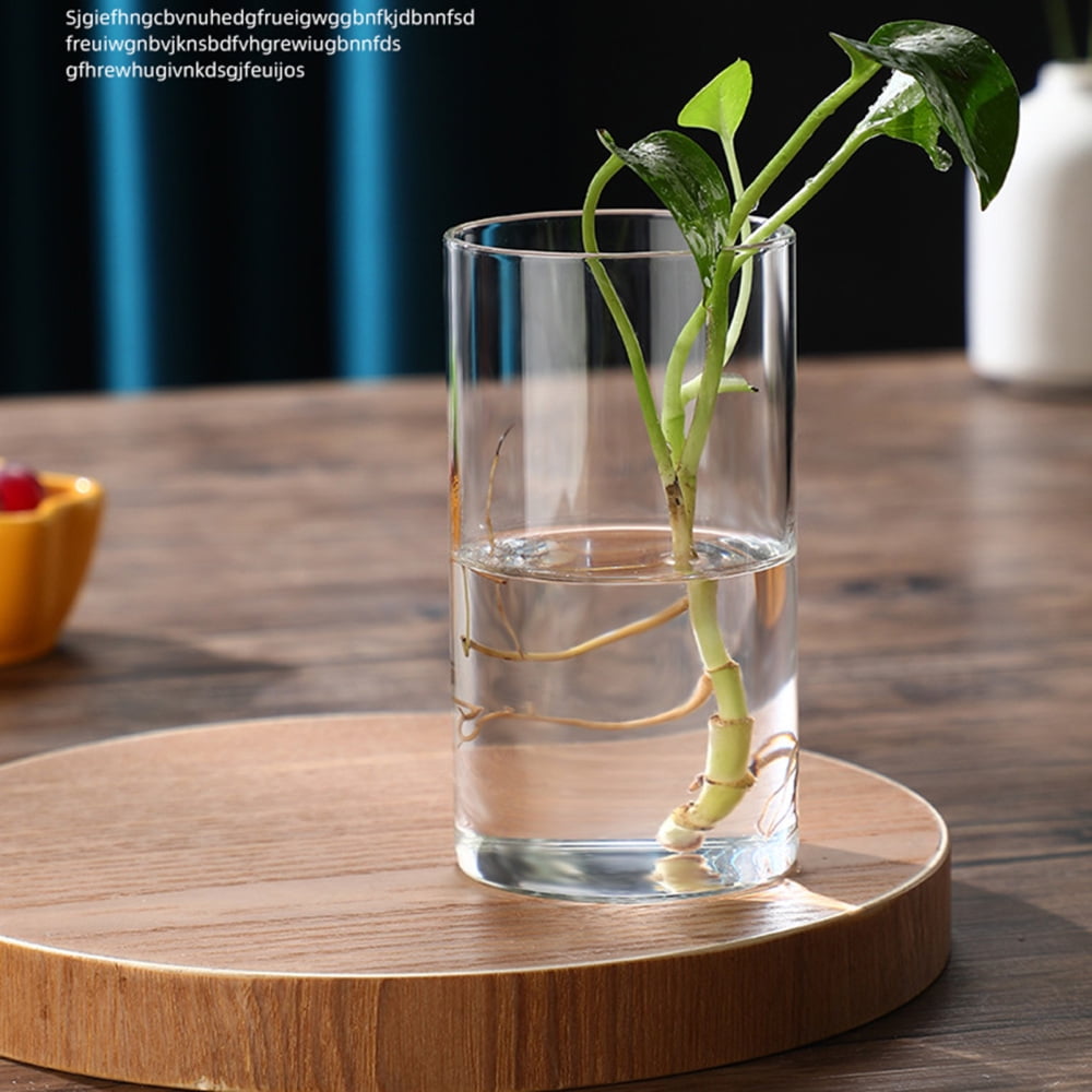 Clear Glass Flower Vase Minimalist Glass Vase Cylinder Flower Vase Use