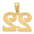thumbnail image 3 of 14k Yellow Gold Polished Finish Number 22 Charm Pendant, 3 of 4