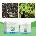 thumbnail image 2 of Water-Soluble Flower Fertilizer - Enhances Nitrogen, Phosphorus, Potassium Nutrients for Blooming Quality, 2 of 9