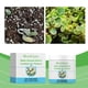 thumbnail image 1 of Herramientas y mejoras para el hogar Fertilizante soluble en agua para flores Fertilizante soluble en agua para flores Nutrición de flores Nitrógeno Fósforo Potasio Nutrientes un nutriente, 1 of 9