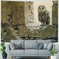 thumbnail image 4 of Orinice Owl Tapestry Wall Hanging Unique Style Graphic Tapestries Home Wall Decor Art for Living Room Bedroom Dorm Apartment Farmhouse - Decorations for Dorm 40x60inch, 4 of 6