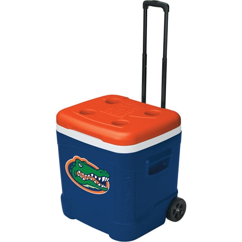 florida gators cooler