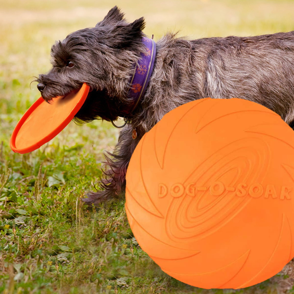 7inch Rubber Flying Disc for Dogs Easy to Fly Durable Puppy Dog Toys