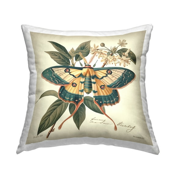 Stupell Industries Vintage Moth & Plant Study Decorative Printed Throw Pillow Design by Steve Huntziker.