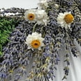 thumbnail image 3 of Bergamo Art Preserved Decorative Real Lavender Wreaths in Purple, 3 of 6