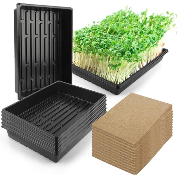 Microgreens Growing Trays Kit – 6 Pack Micro Green Grow with 12 Hemp Fiber Mats, 15 x 11 2.5 Inch Seed Starter for Microgreens, Indoor Gardening