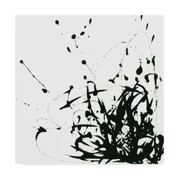 Trademark Fine Art 'UA CH Onyx Expression II' Canvas Art by June Erica Vess