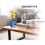 OxiClean Carpet and Area Rug Stain Remover Spray, 24 oz (2 Count)