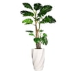 thumbnail image 1 of Vintage Home Artificial Faux Real Touch 7.67 Feet Tall Monstera With Burlap Kit With Fiberstone Planter, 1 of 1