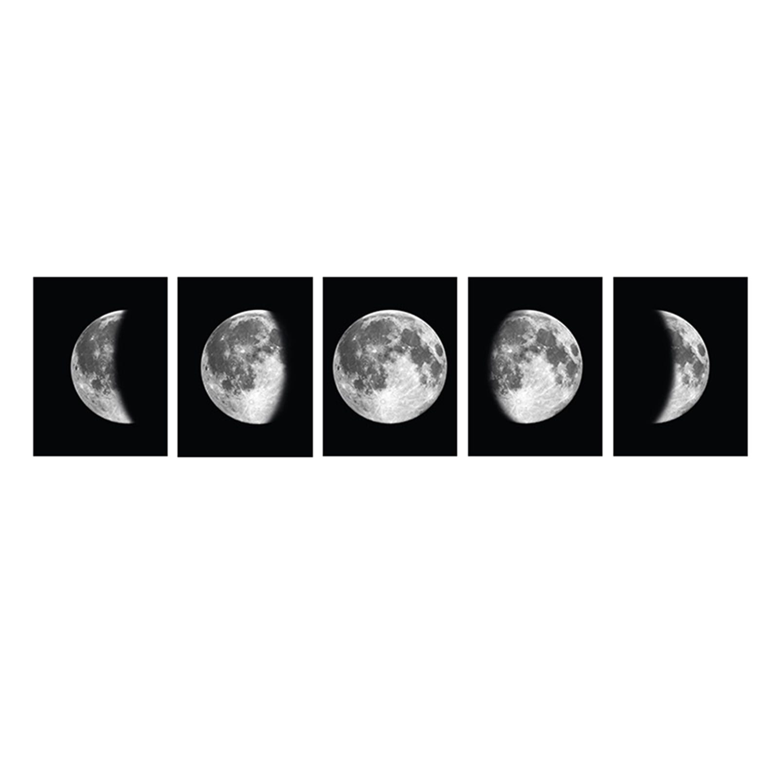 Evening Moon HD Canvas prints Painting Home decor Picture Wall art Poster 16x20" 