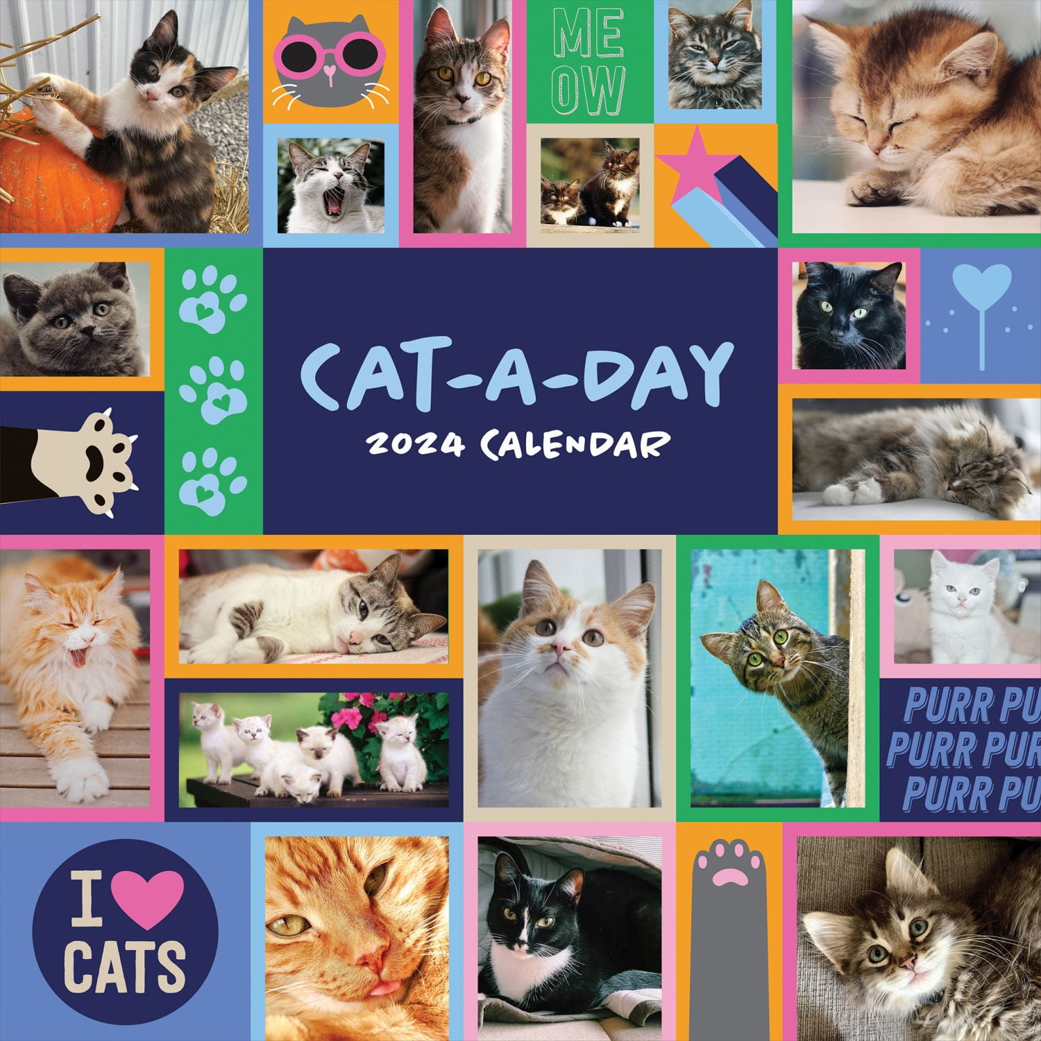 TF Publishing, Cat A Day 2024 Wall Calendar