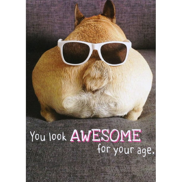 Recycled Paper Greetings Awesome Dog Butt Funny Birthday Card Recycled Paper Greetings Awesome Dog Butt Funny Birthday Card