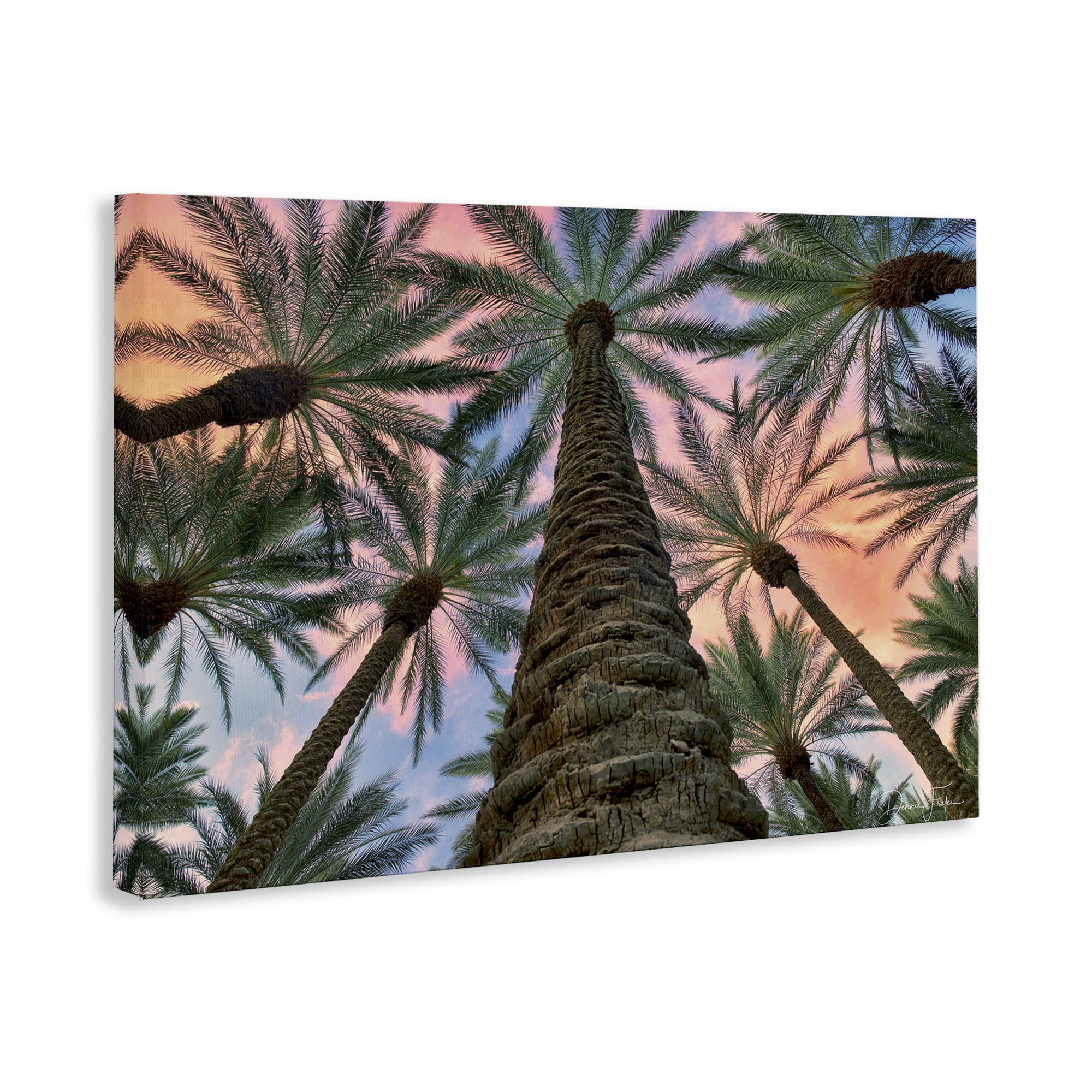 Stupell Industries Tall Overhead Palms Plants & Flowers Photography Wrapped Canvas Art Print Wall Art, 45 x 30