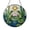 Acrylic 3.5 Inch, variant on Nature Scene Frog Glass Style Window Decor, Decorative Hanging Light Catcher Art with Pond and Flower Design