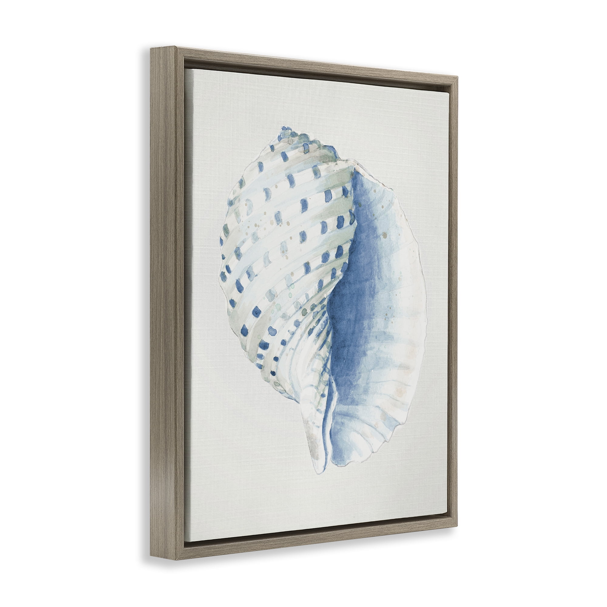 Stupell Industries Spotted Conch Shell Animals & Insects Painting Brown Floater Framed Canvas Art Print Wall Art, 25 x 31
