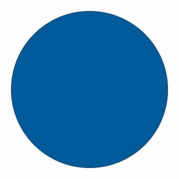 Brady Inventory Label, Blue, Paper, PK500 30665