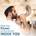 thumbnail image 2 of HalleluYAH Shofar Kosher Odorless Ram Horns 12"-14" From Israel  | Smooth Wind instruments, 2 of 8