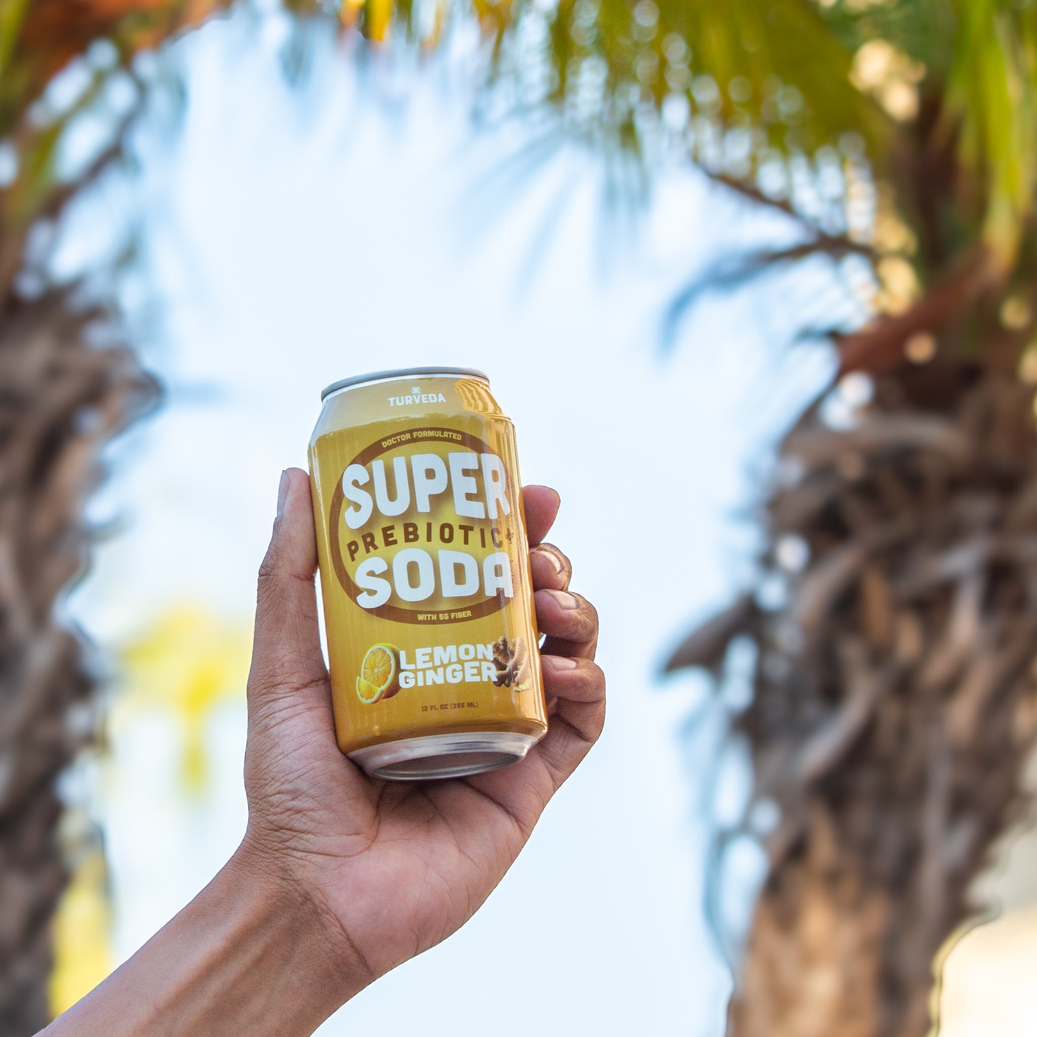Turveda Super Prebiotic+ Lemon Ginger Pop Soda, Sparkling Drink, Modern Diet Soda 12 pack, 12 fl oz
