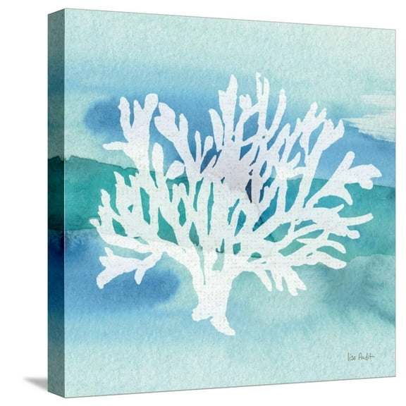 Art.com Sea Life Coral II Stretched Canvas Print Wall Art by Lisa Audit, 16" x 16"