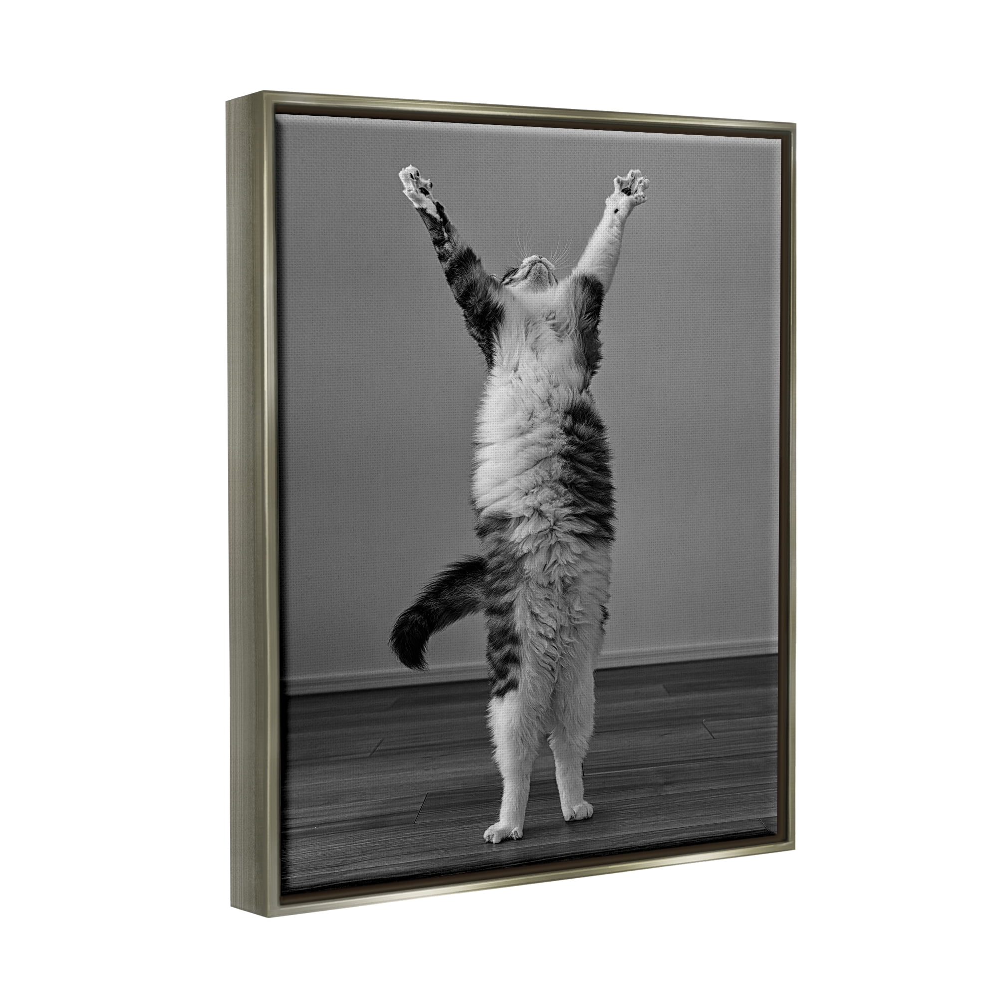 Stupell Industries Funny Cat Victory Pose Animals & Insects Photography Gray Floater Framed Canvas Art Print Wall Art, 17 x 21