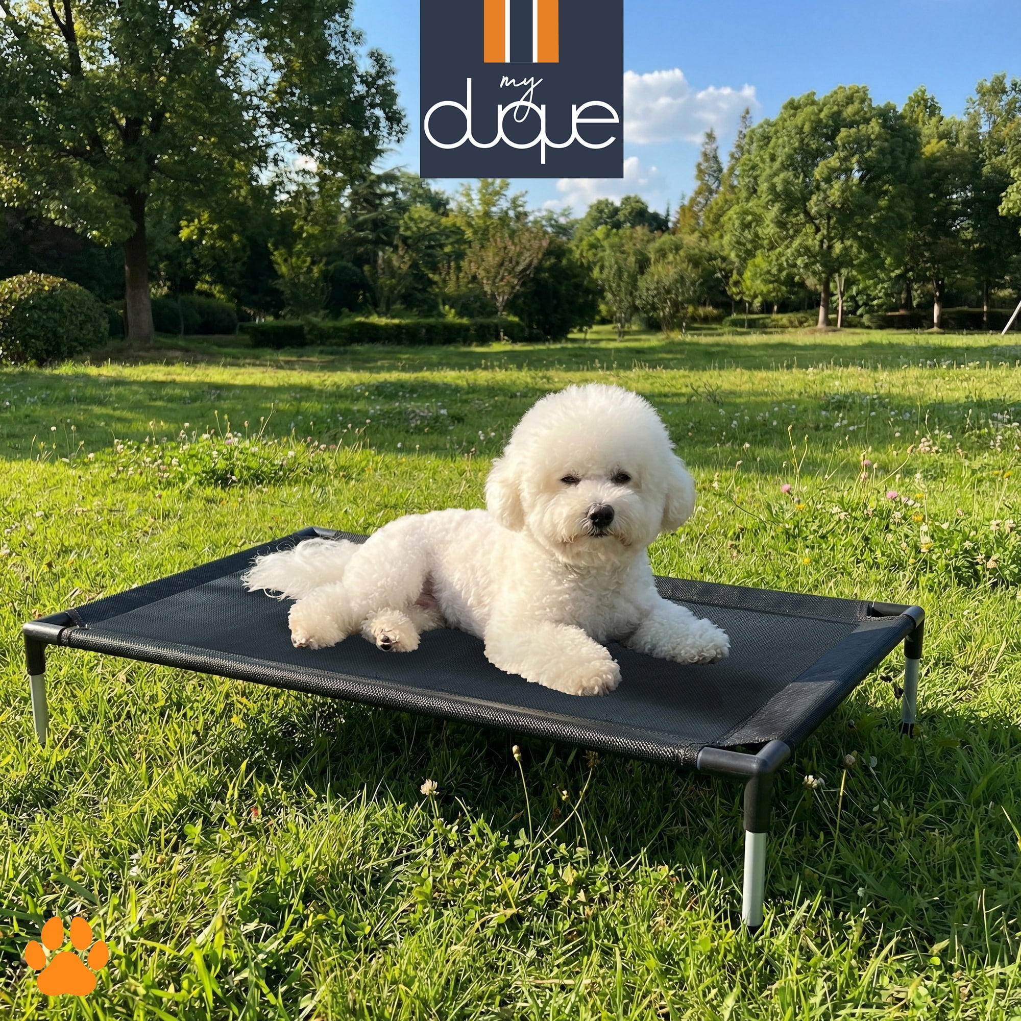 My Duque: COOLA Pet Bed - Small - Black, 23.5 x 18" Dog Lounger, Breathable Mesh Fabric, Elevated Structure For Joints, Steel Frame, Animal 30lb Cap