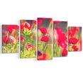 thumbnail image 2 of Coquelicots Rouges sur Fond Vert - Grande Impression sur Toile Fleur, 2 of 3