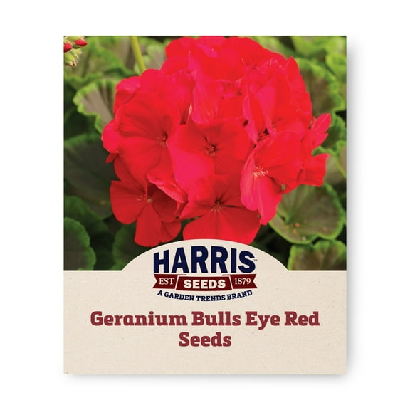 Harris Seeds - Geranium Bullseye Red F1 Variety Flower Seeds - 100 Seeds