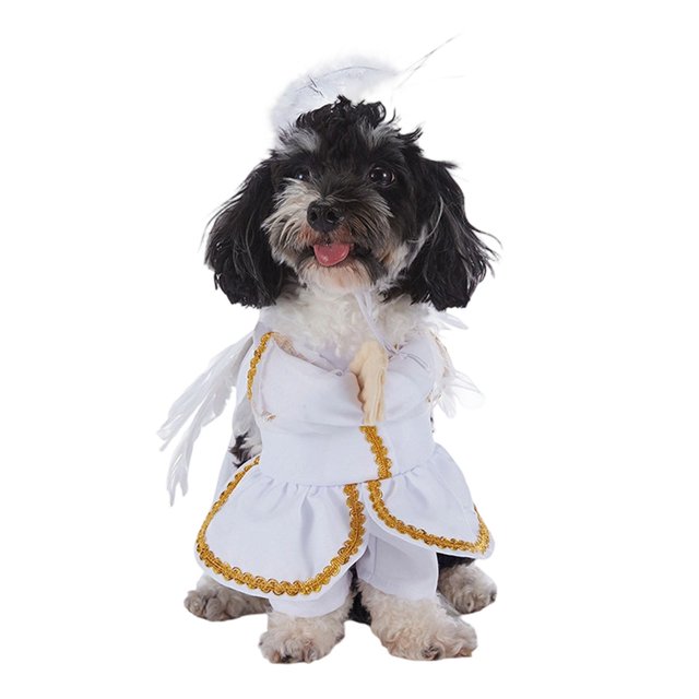 Stand Up Festive Holiday Cat With Hooded Outfit Party Dress Up For Small Medium Cats Halloween Xmas Photo Prop