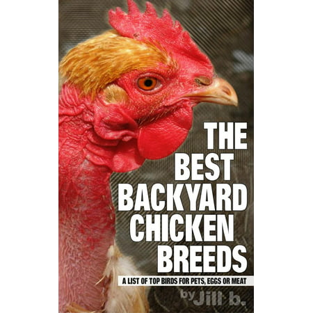 The Best Backyard Chicken Breeds: A List of Top Birds for Pets, Eggs and Meat - (Best Chicken Breeds For Eggs)