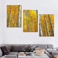 thumbnail image 4 of Nawypu  Trees Wall Art Yellow Leaf White Branch Forest Landscape Artwork Modern Nature Picture, Framed Large Size Painting for Living Room Bedroom Bathroom Home Wall Decor 12''x16''X3 Panels, 4 of 4