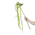 thumbnail image 3 of Mainstays Artificial Tassel Long Stem, 3 of 5