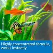 API Aqua Essential All-in-One Concentrated Water Conditioner